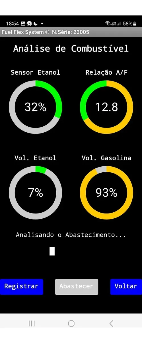 Alternative view of Fuel Flex System FFS 02 – Usuário Automotivo
